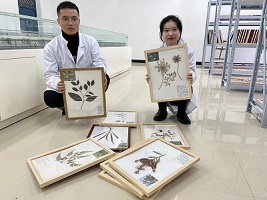 传承天然药物古韵 ，珍爱魅力自然——药学院第一届标本展(图4)