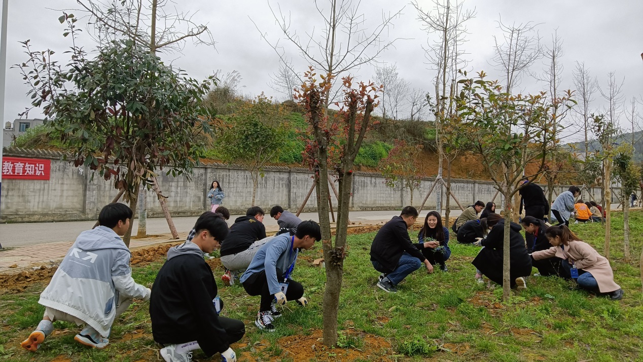 我为校园添风景  花种与我共成长(图3)