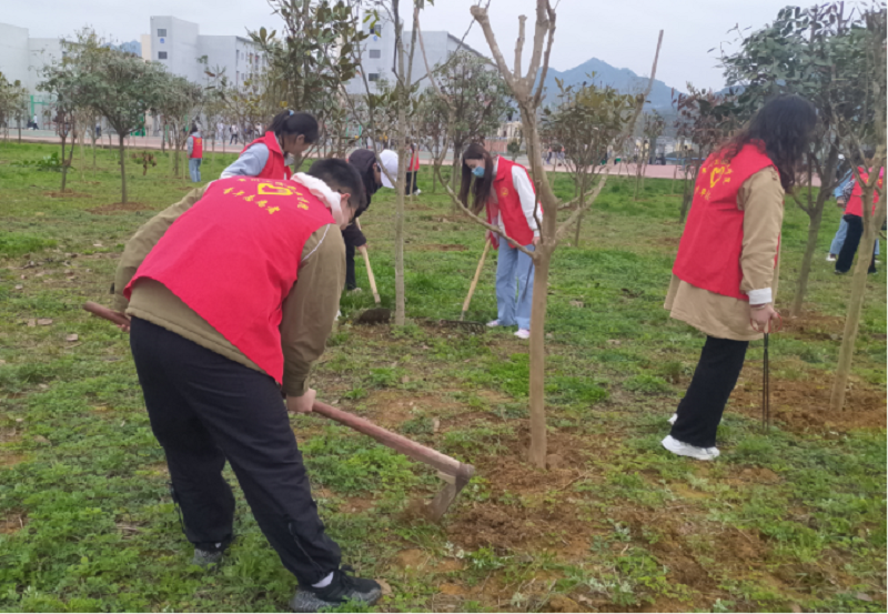 拥抱春天，与绿色同行——护理、药学院团总支开展校园护树活动(图5)